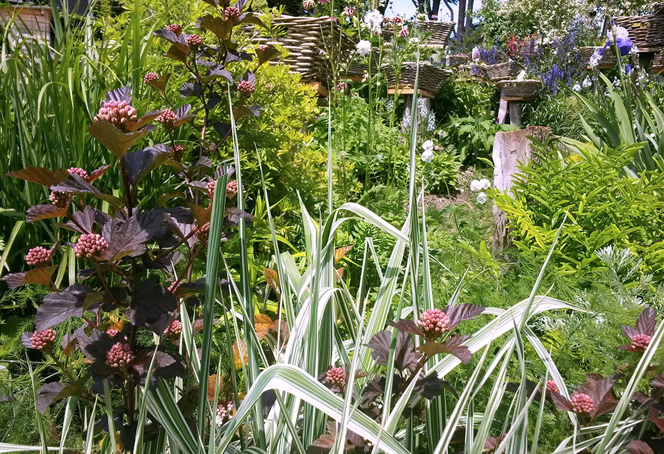 ballade bucolique à vichy