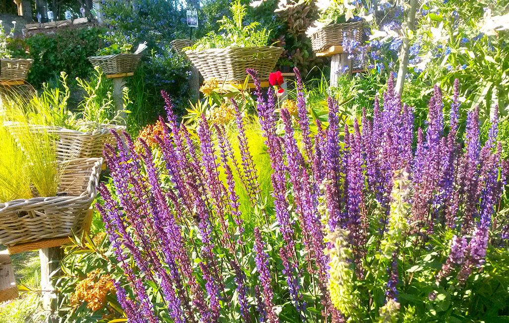 jardin naturel à vichy